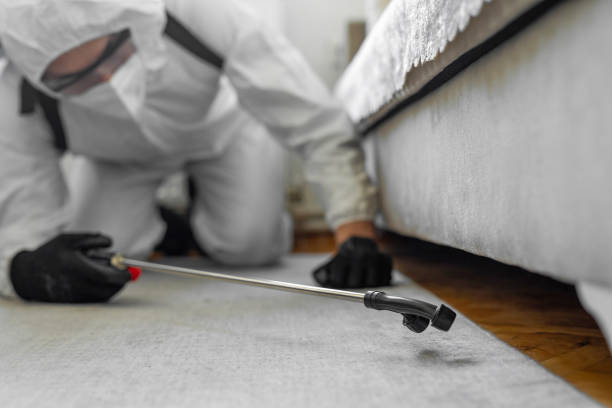 Professional Bed Bug Control technician working in Winn Parish County, LA